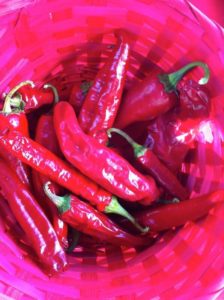 Hungarian paprika peppers