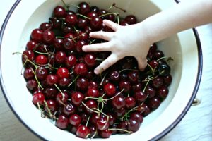 Cherries_Hungary